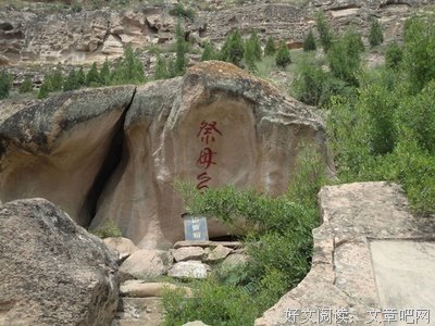 《不死者》的读后感大全