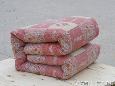 《叠被子》经典读后感有感