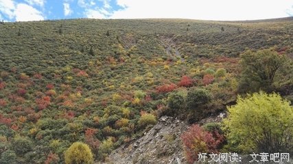 关于大可地来名言名句
