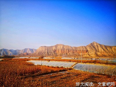 关于大帅的座右铭