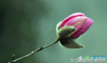 佛经经典的句子