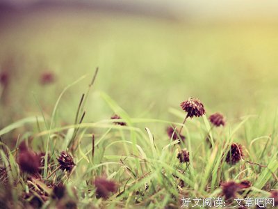 最经典的《心有不甘》小说摘抄
