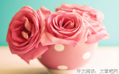最全的《心灵鸡汤》经典语录大全