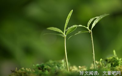 《涂觉看地子》的句子