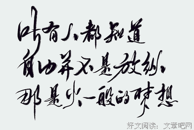 关于海贼王的优美句子