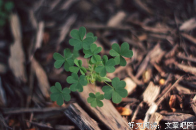 关于感觉的句子