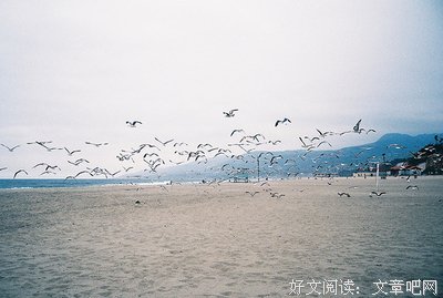 《当我明白》的句子