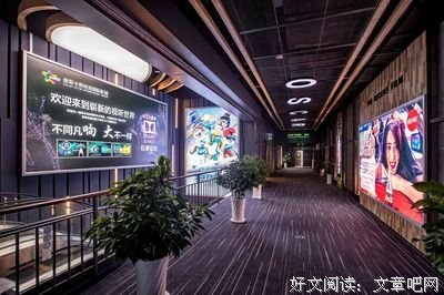 《来电狂响》经典观后感有感