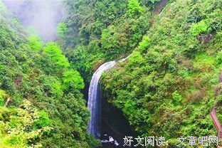 《天坑宝藏》的读后感大全