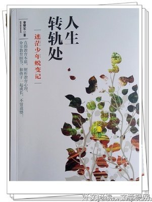大学不迷茫读后感摘抄