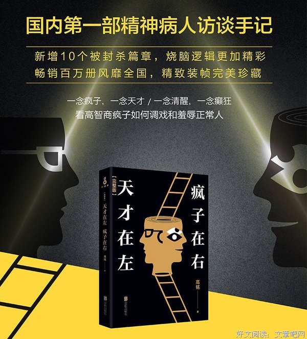 天才在左疯子在右读后感精选
