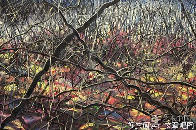 《关于他人的痛苦（全布面精装）》读后感精选