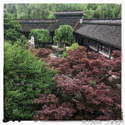 关于大木的座右铭
