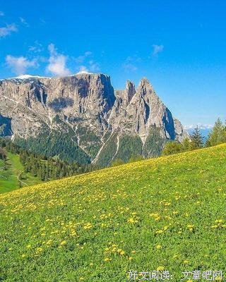 大看年要的句子