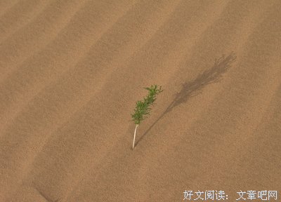 杨路：学会“自我管理”，才能得到自己向往的人生！