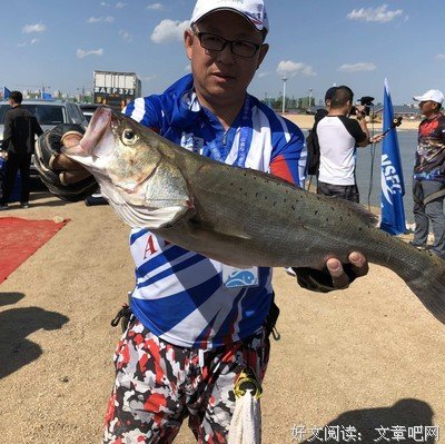 毛姆《情迷佛罗伦萨》：为何女人总会情不自禁的爱上坏男人？