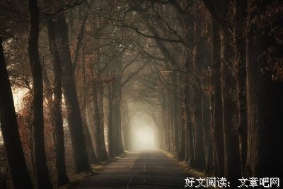 漫漫诗意
