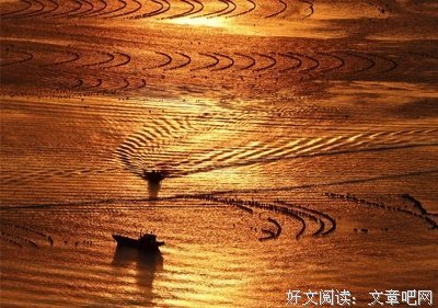 三月三｜我还是喜欢你，像春风走了八千里