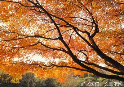 长歌行句子