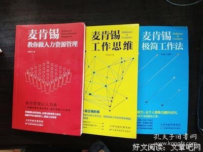 麦肯锡极简工作法读后感摘抄