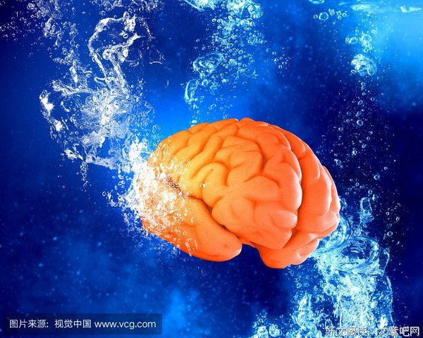 大脑皮层格言警句