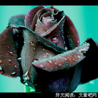 忙了一辈子，究竟什么是你的？