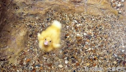 关于大锤的唯美语录