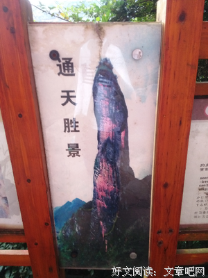 关于大鬼的格言