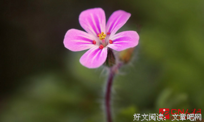 天不十作的语句摘抄_关于天不十作的语句