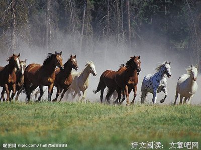 有关晓子醉风的句子