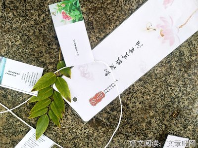 韶华流年句子