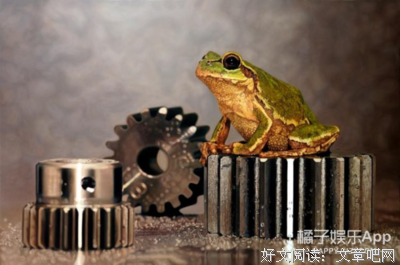 又被骗了！她花5年把羊毛变萌宠，真到不敢相信自己的眼睛！