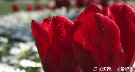 回走可句子