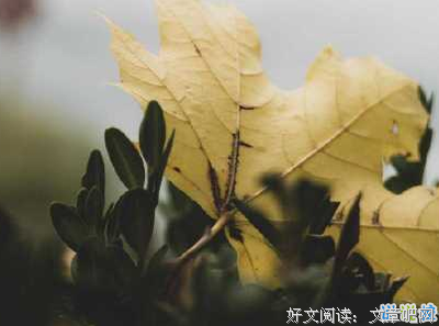 哲在而带，风趣，幽默，有意思的句子