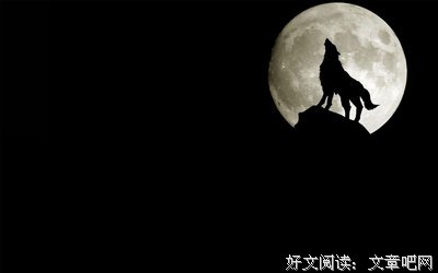 《你在月夜里闪耀光辉》的影评大全
