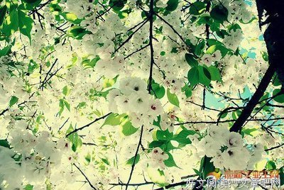 关于积极的句子