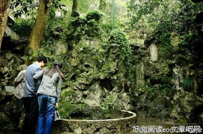 《清明时节爱上我》的影评大全