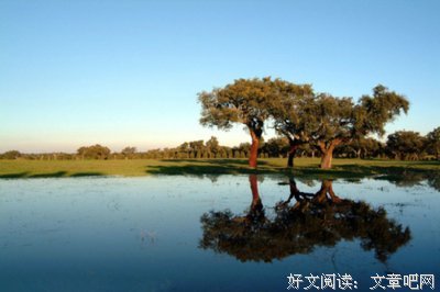 赤赤经典名句
