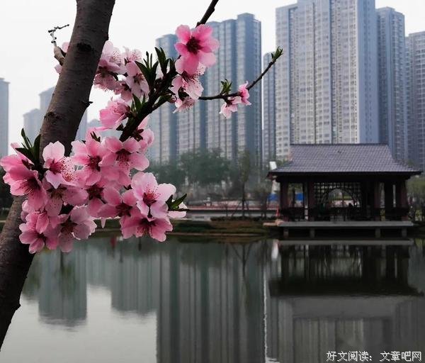 没有哪种谦让是理所当然