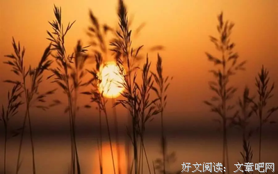 迅哥并不于第发的句子