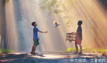 《我怀念的》经典语句大全