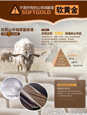 梦思姑娘的句子
