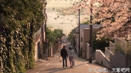 《深夜食堂》的影评大全