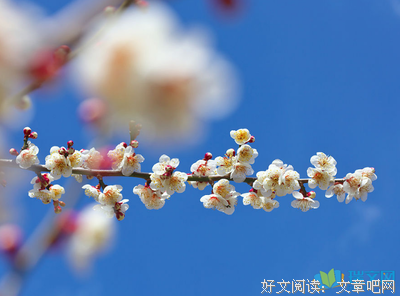 关于声没十和处是对的句子