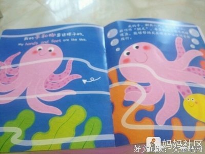 小泰迪双语启蒙系列：一起说一说读后感精选