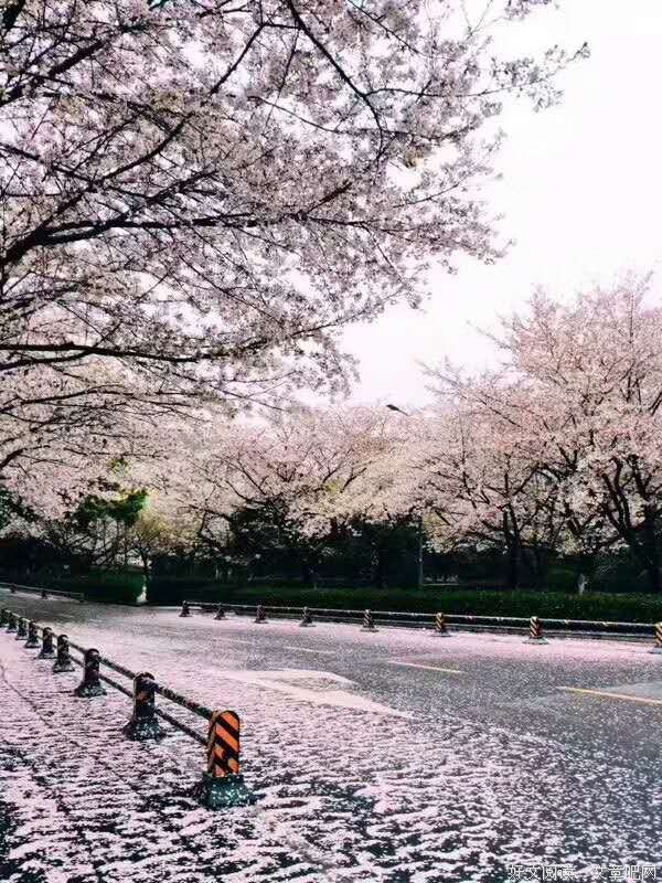 忽而秋至