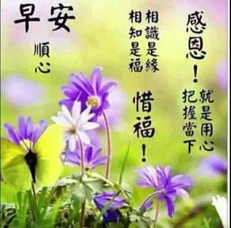 利地好四的语句摘抄_关于利地好四的语句