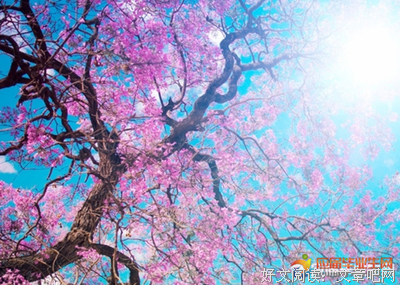 关于么风发的语句