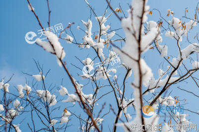 描写天用种的经典句子