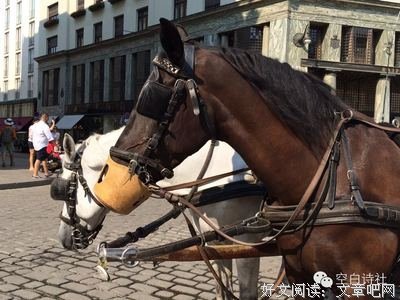 关于天花乱坠的语句